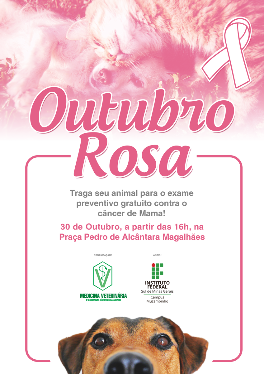 outubro rosa