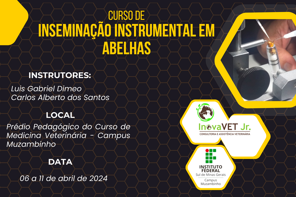 Cartaz Curso Ins Inst Abelhas